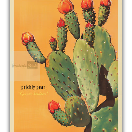 Vintage Prickly Pear Cactus Print, The Sonoran Desert Print Retro Outdoors Poster, Arizona Cabin Cottage Wall Art, Botanical Cacti Desert