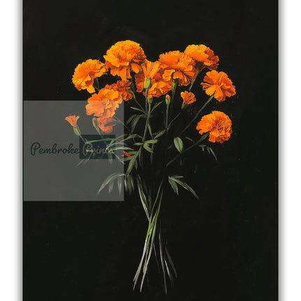Vintage Orange Marigolds Oil Painting Black Gothic Antique Flower Print Illustration Botanical Farmhouse October Birth Flower Birthday Gift