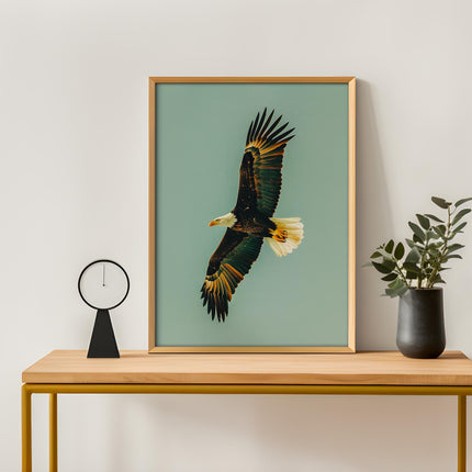 Vintage Soaring Bald Eagle Print Retro Outdoors Birding Poster Travel Poster Canadian Cabin Cottage Wall Art Hunting Poster Art for Dad