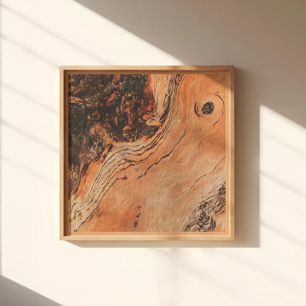 Rose Wood Wall Decor Rustic Boho Style Print Luxury Antique Wooden Style Living Room Wall Art Mid Century Modern Minimalist Simplistic Art