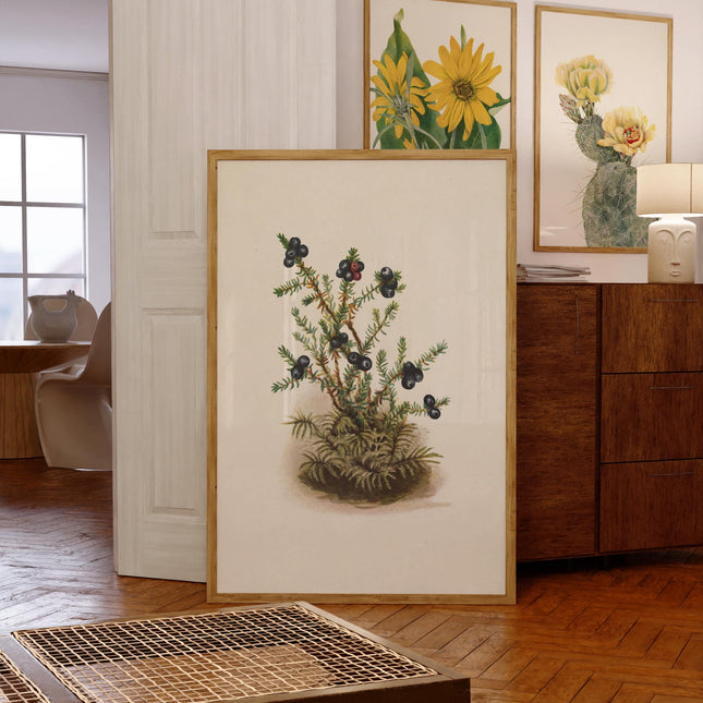 Vintage Berry Painting Print Antique Wildflower Illustration Botanical Painting Earth Tones Flowery Bedroom Decor Simplistic Poster