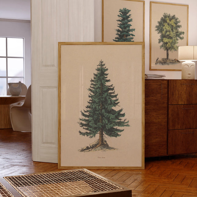Vintage Pine Tree Drawing Print Fine Art Spruce Poster Cabin Cottage Wall Art Botanical Forest Illustration Nature Wall Decor