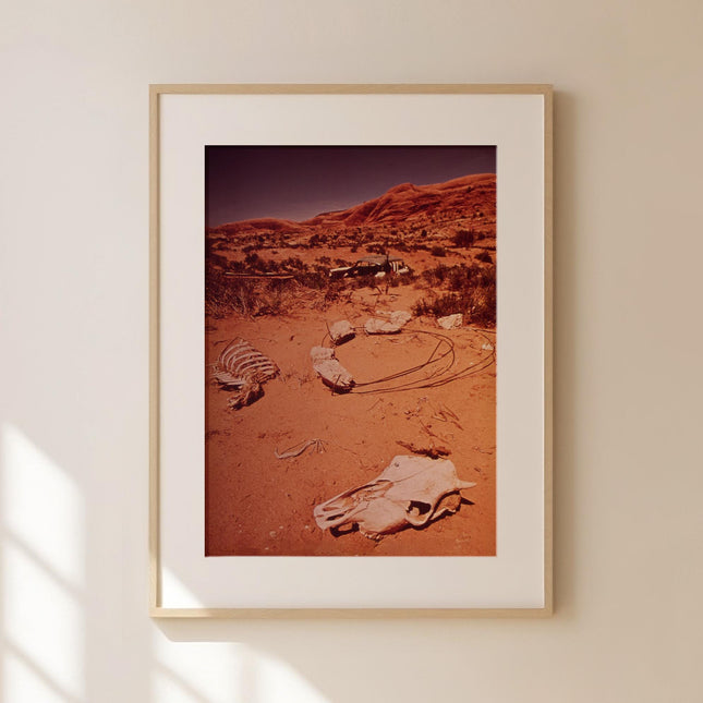 Cow Skull in The Desert Print Fine Art Photography Desert Landscape Wall Decor Abandoned Car Photo for Bar Room Retro Summer Y2K Photo 1970s
