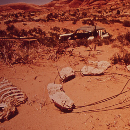 Cow Skull in The Desert Print Fine Art Photography Desert Landscape Wall Decor Abandoned Car Photo for Bar Room Retro Summer Y2K Photo 1970s