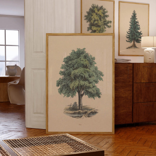 Vintage Tilia Tree Drawing Print Fine Art Linden Tree Poster Cabin Cottage Wall Art Botanical Forest Illustration Nature Wall Decor