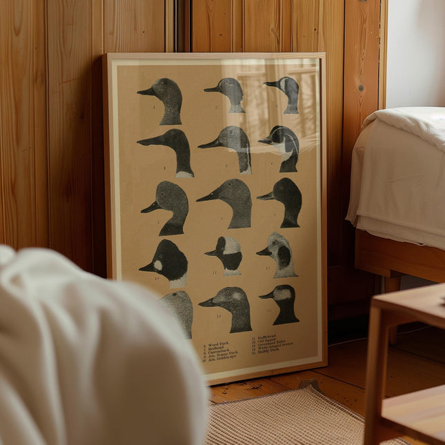 Vintage Duck Identification Poster, Antique Waterfowl Illustration, Rustic Cabin Wall Art, Bird Species Chart, Outdoors Decor Gift