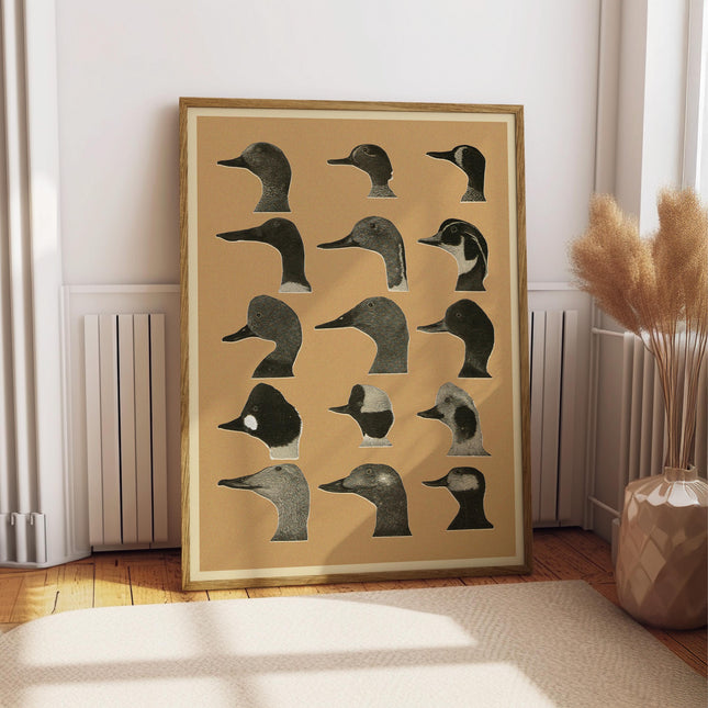 Vintage Duck Heads Poster, Whimsical Waterfowl Wall Art, Funny Hunter Gift, Retro Bird Illustration Print, Rustic Cabin Decor