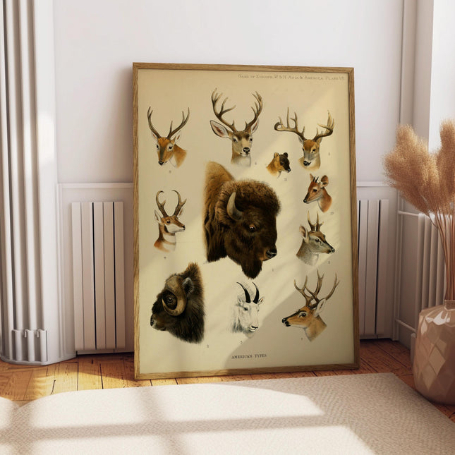 North American Game Print, Vintage Wildlife Chart Poster, Antique Deer Bison Hunting Wall Art, Rustic Lodge Animal Illustration Decor Print