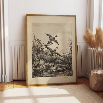 Vintage Duck Etching Print, Antique Hunting Artwork, Black and White Wildlife Engraving, Rustic Lodge Wall Art