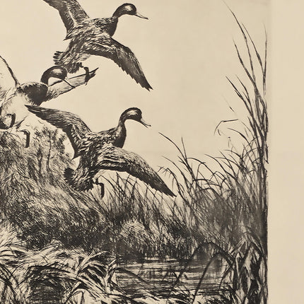 Vintage Duck Etching Print, Antique Hunting Artwork, Black and White Wildlife Engraving, Rustic Lodge Wall Art