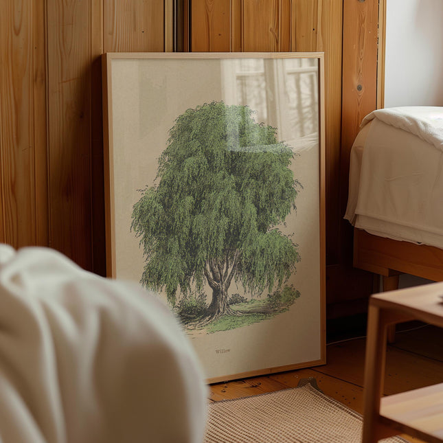 Willow Tree Print, Vintage French Botanical Illustration Poster, Antique Green Nature Wall Art, Cottagecore Tree Decor, Rustic Print
