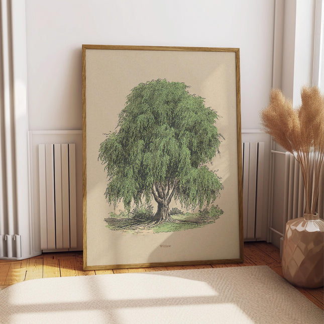 Willow Tree Print, Vintage French Botanical Illustration Poster, Antique Green Nature Wall Art, Cottagecore Tree Decor, Rustic Print
