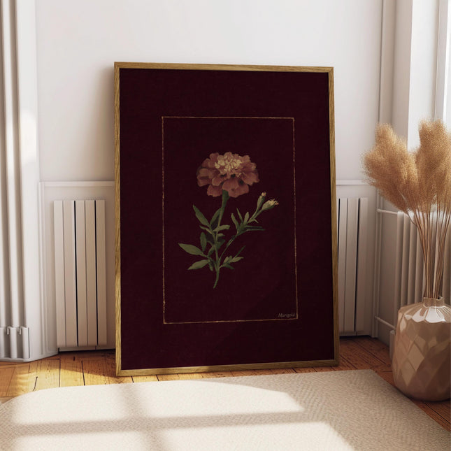 Marigold Art Print, Vintage Marigold Poster, Moody Burgundy Floral Wall Art, Antique Botanical Illustration, Dark Orange Bloom Painting