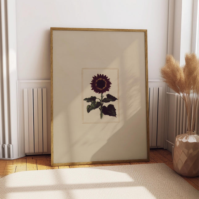 Burgundy Sunflower Art, Neutral Vintage Poster, Moody Botanical Wall Decor, Antique Illustration Print, Dark Painting, Chic Boho Art