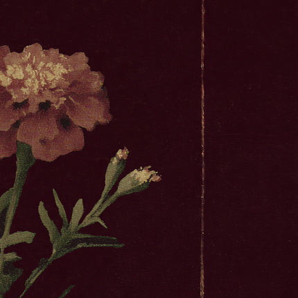 Marigold Art Print, Vintage Marigold Poster, Moody Burgundy Floral Wall Art, Antique Botanical Illustration, Dark Orange Bloom Painting