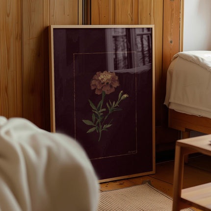 Marigold Art Print, Vintage Marigold Poster, Moody Burgundy Floral Wall Art, Antique Botanical Illustration, Dark Orange Bloom Painting